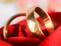 Deux alliances dorées reposent sur un tissu rouge, symbolisant l'amour et l'organisation mariage.
