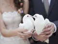 Un couple de mariés tient deux colombes blanches, symbolisant le lacher de colombes pour leur union.