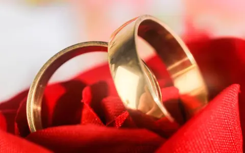 Deux alliances dorées reposent sur un tissu rouge, symbolisant l'amour et l'organisation mariage.
