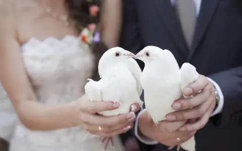 Un couple de mariés tient deux colombes blanches, symbolisant le lacher de colombes pour leur union.