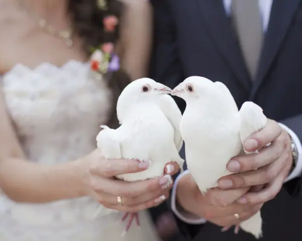 Un couple de mariés tient deux colombes blanches, symbolisant le lacher de colombes pour leur union.
