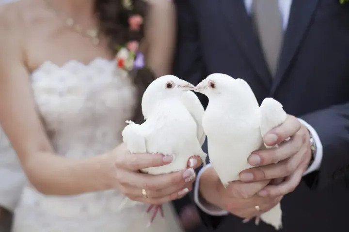 Un couple de mariés tient deux colombes blanches, symbolisant le lacher de colombes pour leur union.