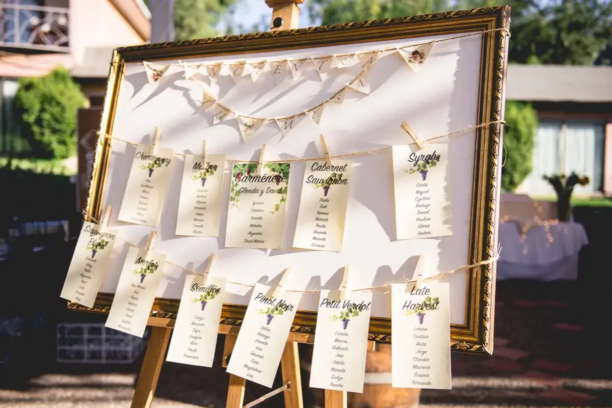 Un chevalet présente un panneau avec des cartes de nom de table mariage, classées par cépages de vin. Les noms des invités sont épinglés sur des cartes décorées de grappes de raisin.